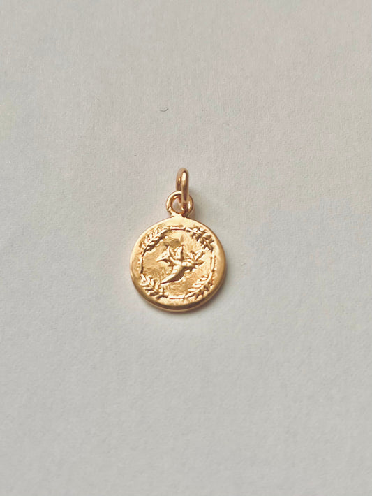 Charm Médaille Colibri